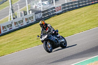 Middle 2 Group Black Bikes